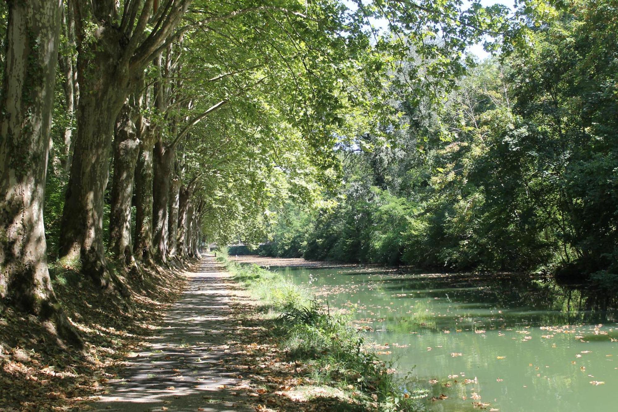 Atena Bordeaux Sud Est Creon - Velo Friendly Esterno foto